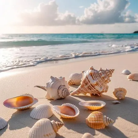 Nike Piscina & Parcare